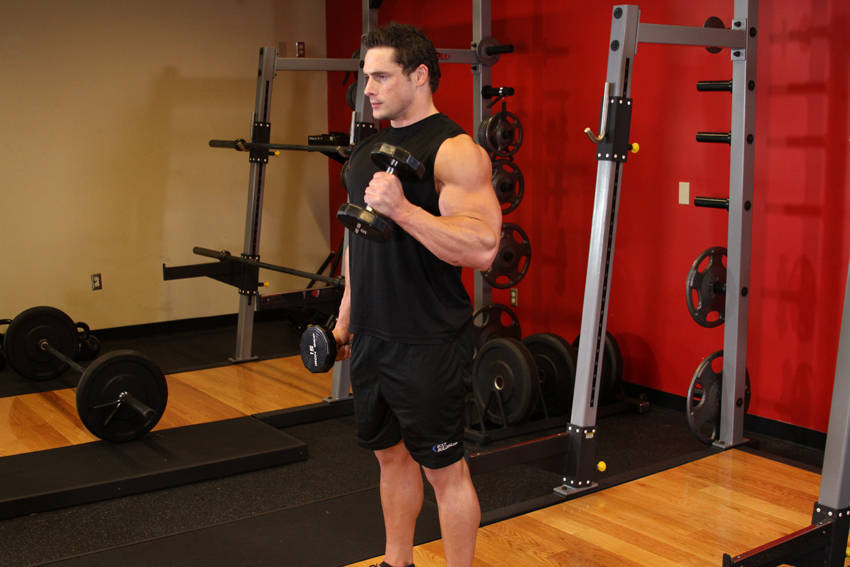 Alternate Hammer Curl variant 2