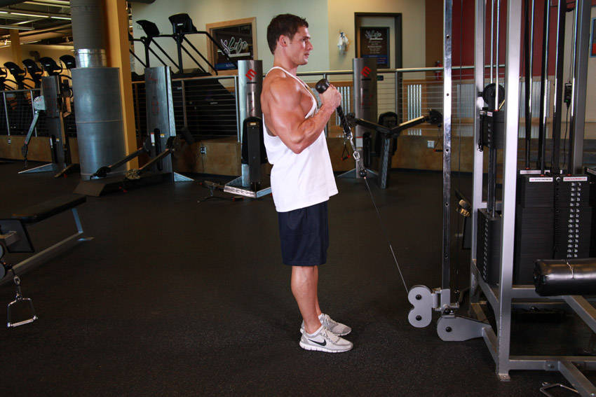 Cable Hammer Curls - Rope Attachment variant 2