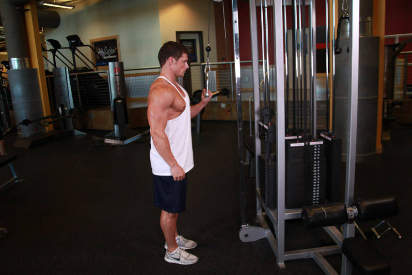 Cable One Arm Tricep Extension variant 2