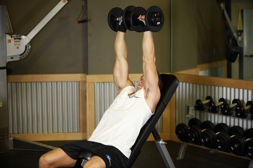Dumbbell Incline Shoulder Raise variant 2