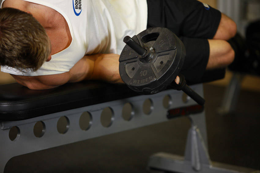 Dumbbell Lying Pronation variant 2
