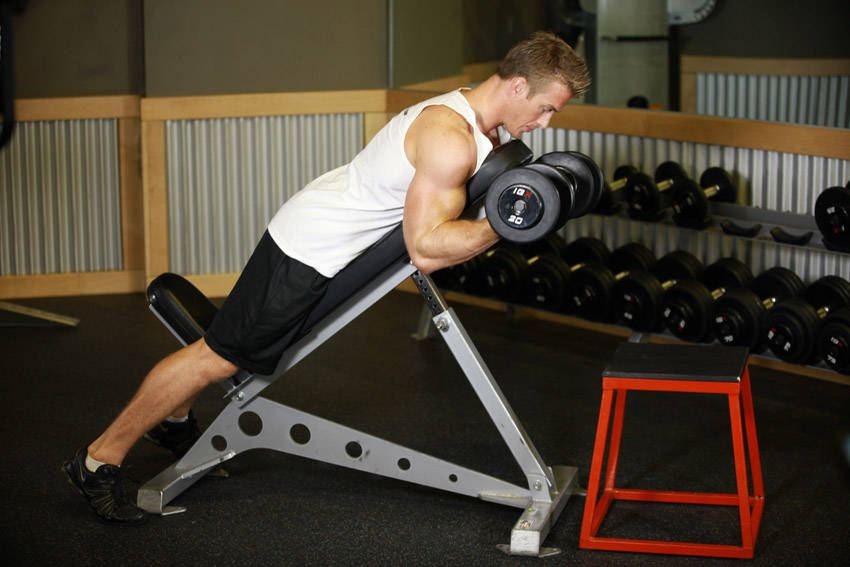 Dumbbell Prone Incline Curl