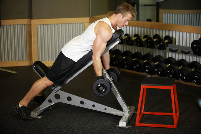Dumbbell Prone Incline Curl variant 2
