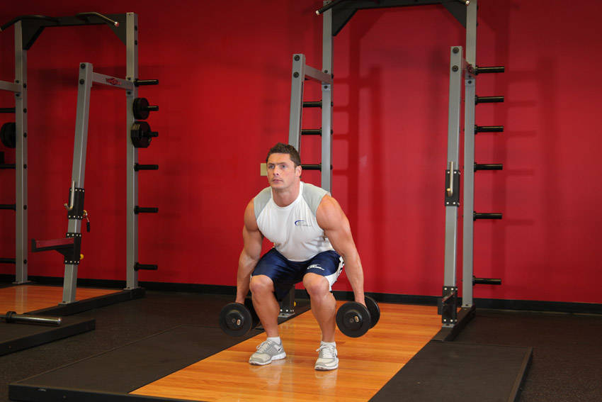 Dumbbell Squat variant 2
