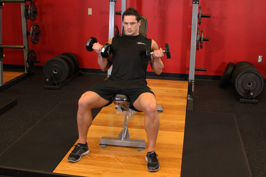 Flexor Incline Dumbbell Curls variant 2