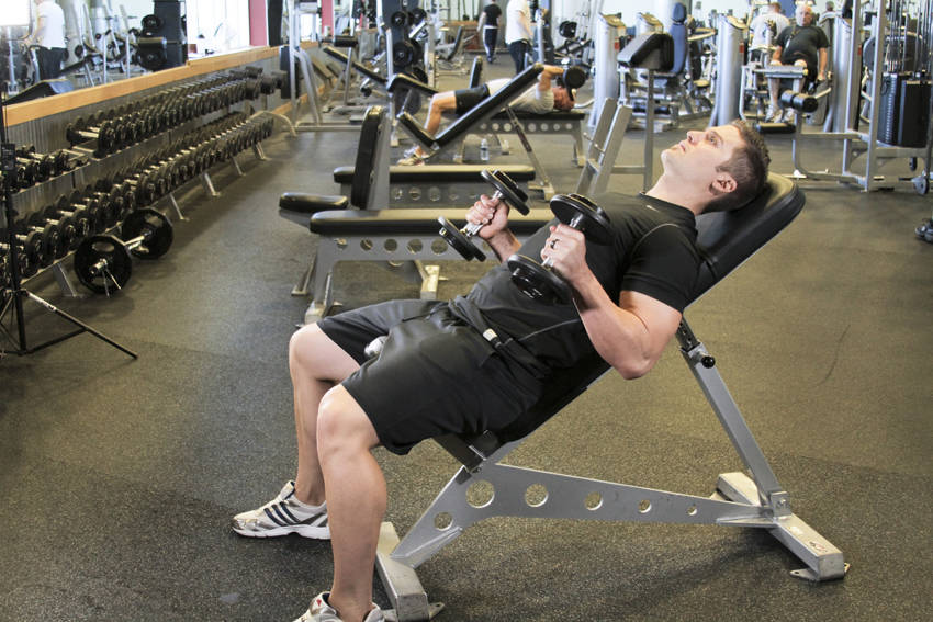 Incline Hammer Curls variant 2