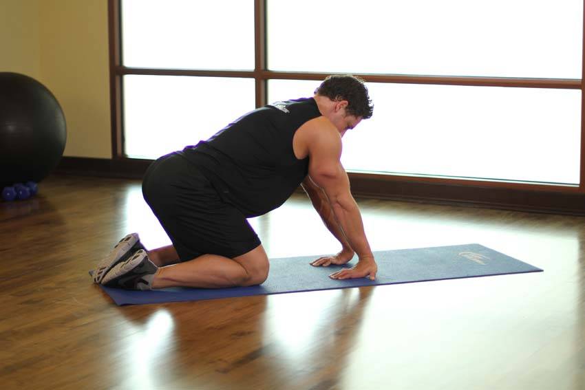 Kneeling Forearm Stretch variant 2