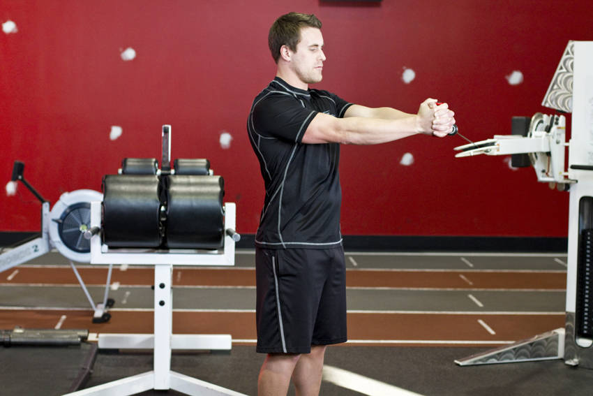 Pallof Press With Rotation variant 2