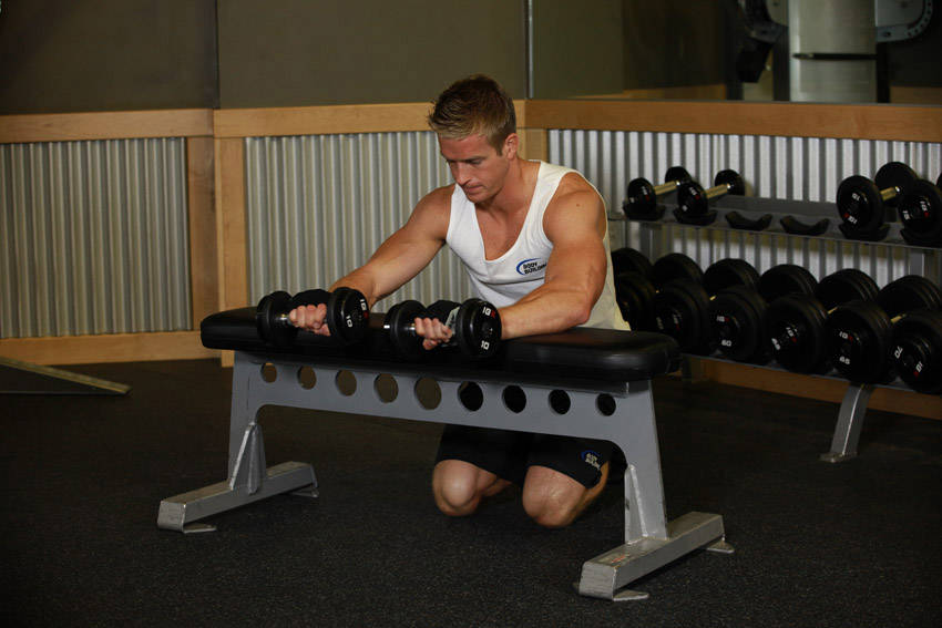 Palms-Down Dumbbell Wrist Curl Over A Bench variant 2
