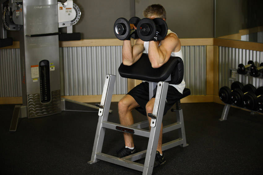 Preacher Hammer Dumbbell Curl variant 2