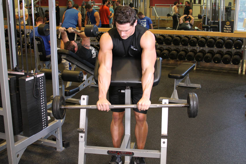 Reverse Barbell Preacher Curls
