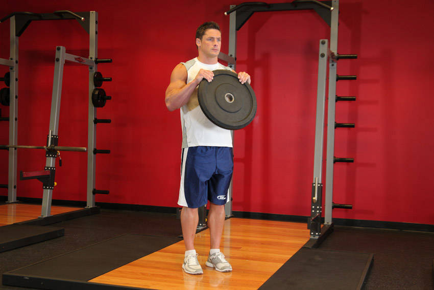 Reverse Plate Curls variant 2