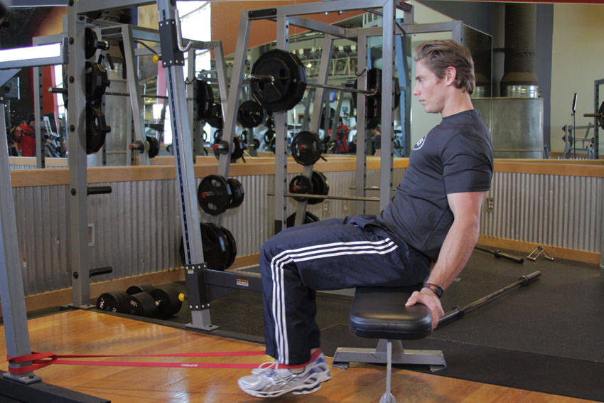 Seated Band Hamstring Curl variant 2