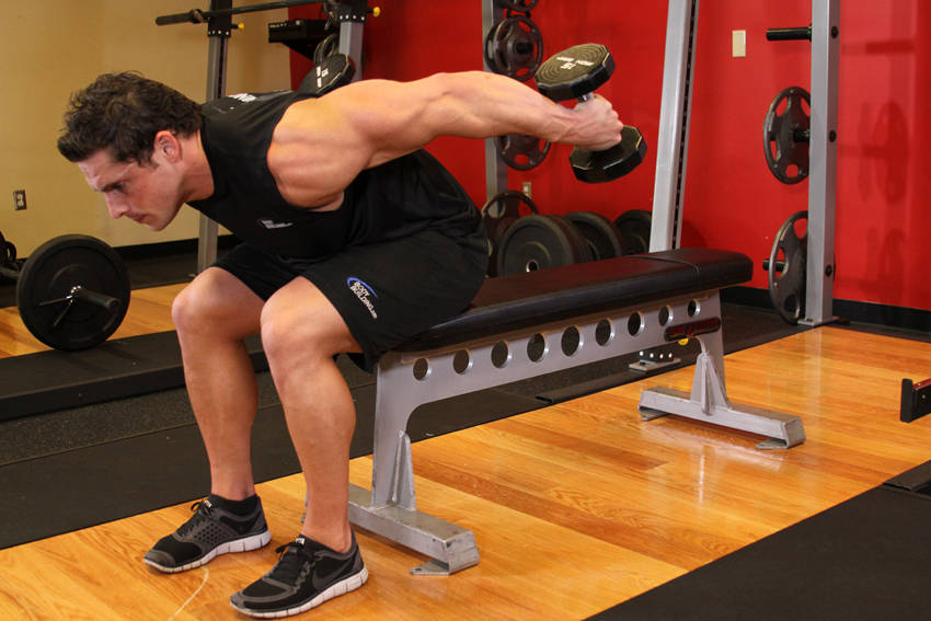 Seated Bent-Over Two-Arm Dumbbell Triceps Extension variant 2