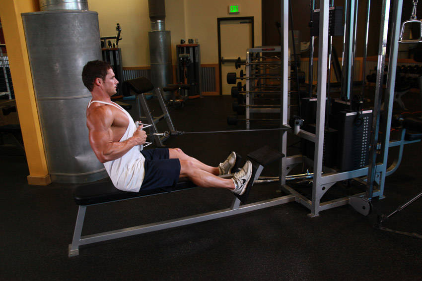 Seated Cable Rows variant 2
