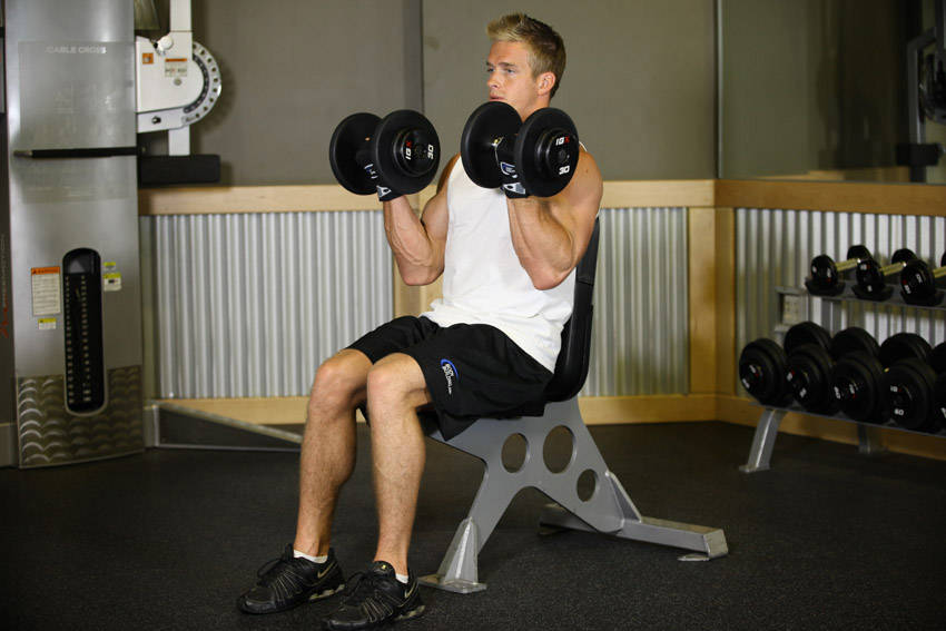 Seated Dumbbell Curl variant 2