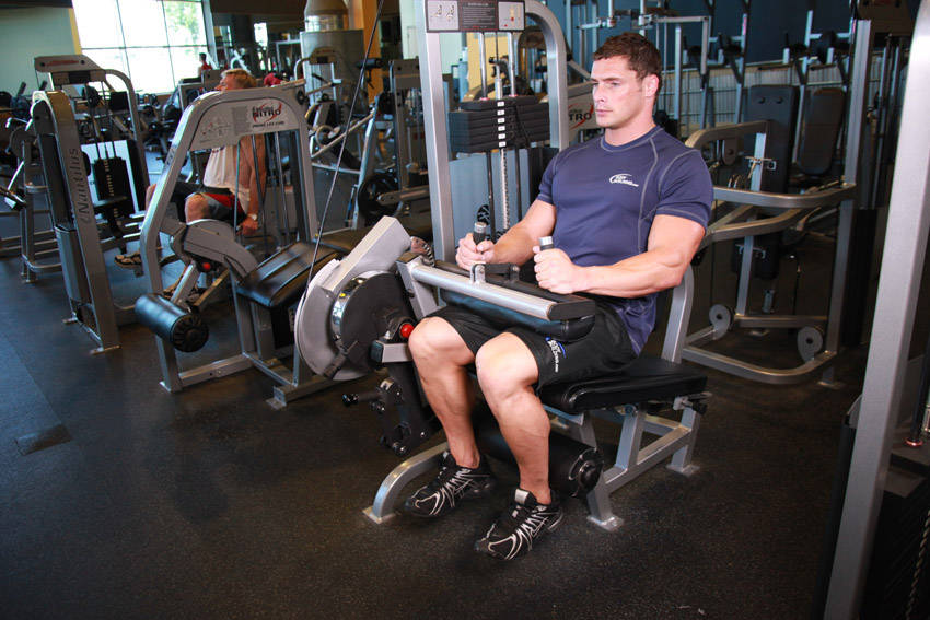Seated Leg Curl variant 2