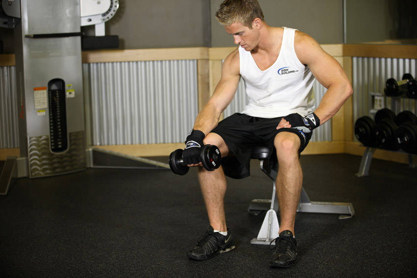 Seated One-Arm Dumbbell Palms-Down Wrist Curl