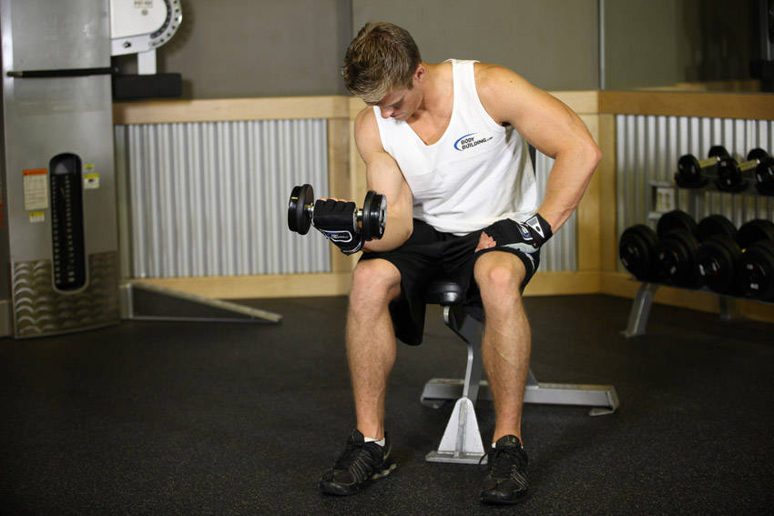 Seated One-Arm Dumbbell Palms-Up Wrist Curl variant 2