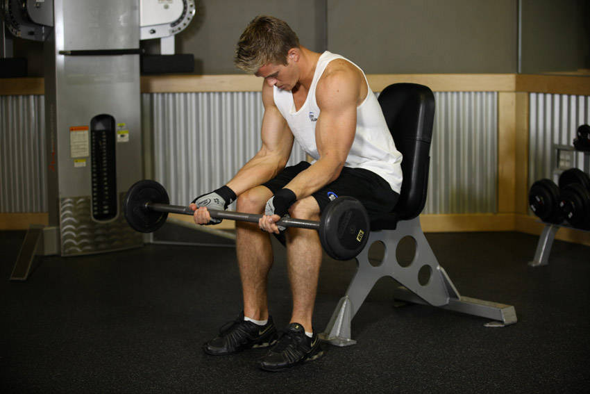 Seated Palm-Up Barbell Wrist Curl