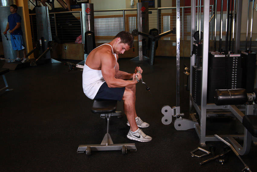 Seated Two-Arm Palms-Up Low-Pulley Wrist Curl variant 2