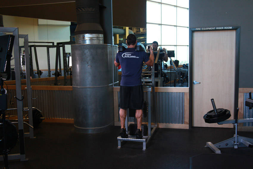 Standing Calf Raises variant 2