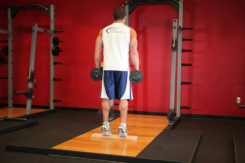 Standing Dumbbell Calf Raise variant 2