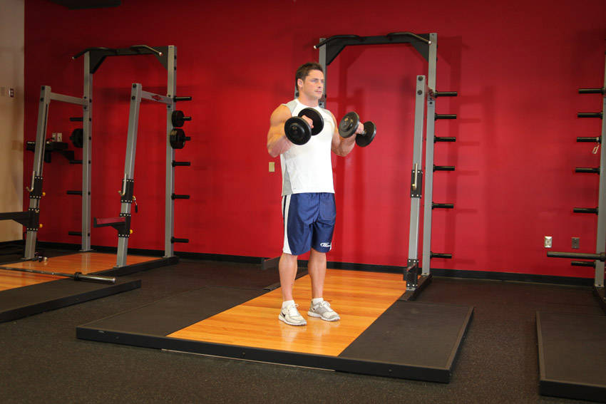 Standing Dumbbell Reverse Curl variant 2
