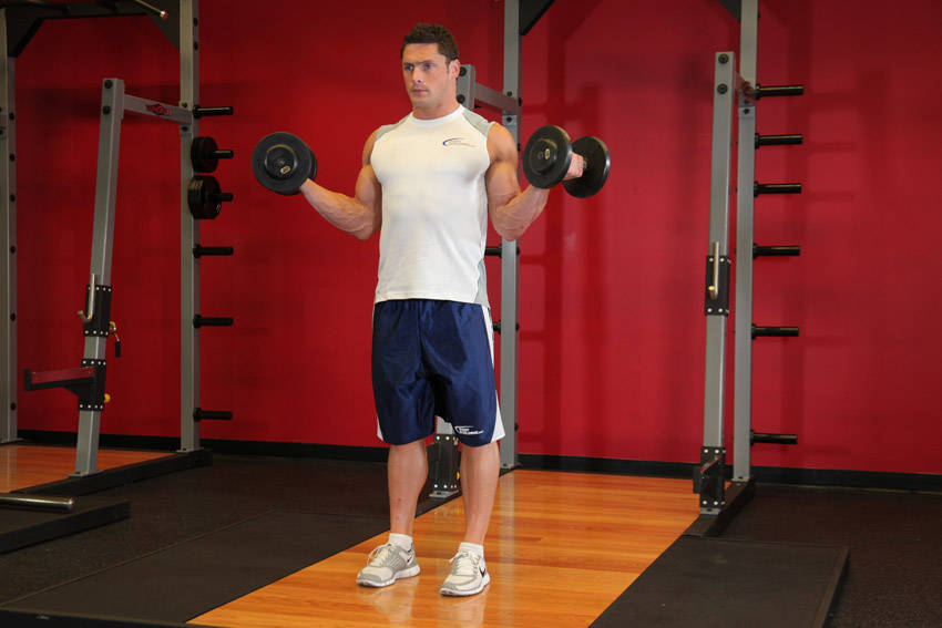 Standing Inner-Biceps Curl variant 2