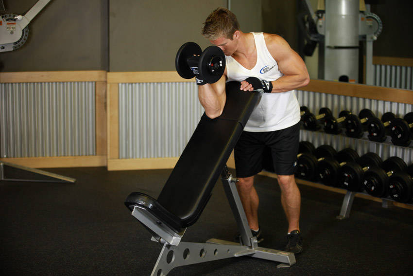 Standing One-Arm Dumbbell Curl Over Incline Bench variant 2