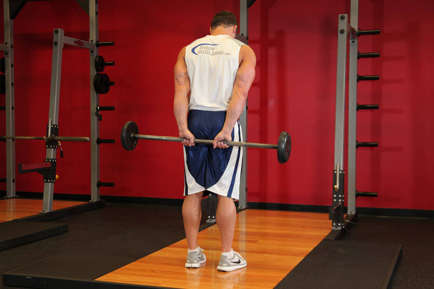 Standing Palms-Up Barbell Behind The Back Wrist Curl variant 2