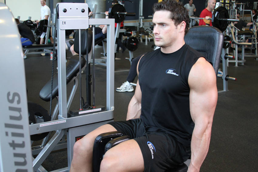 Thigh Adductor variant 2