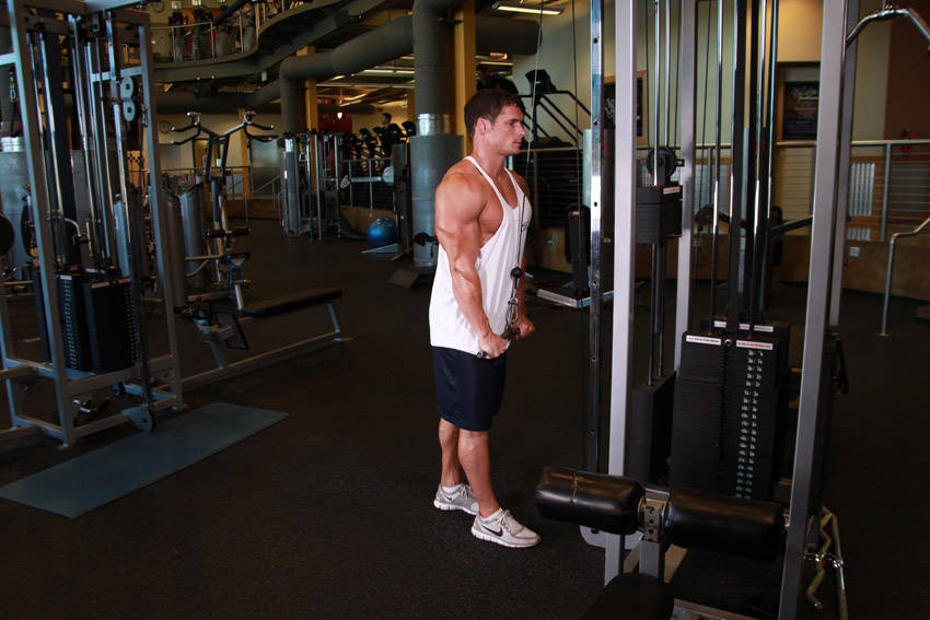 Triceps Pushdown variant 2