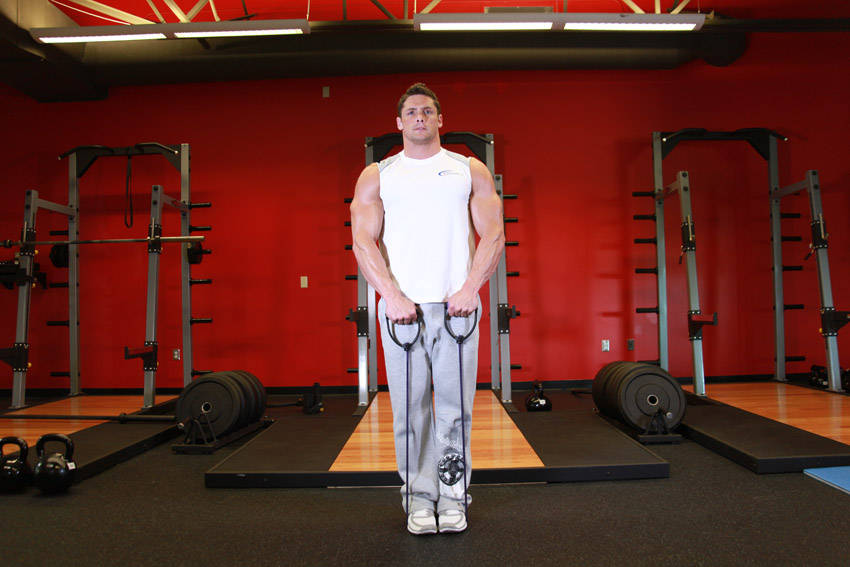 Upright Row - With Bands